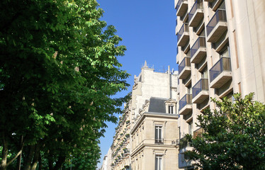 Sticker - Immeuble blanc, arbre vert.