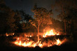 Bush Fire - The Red Centre, Australia