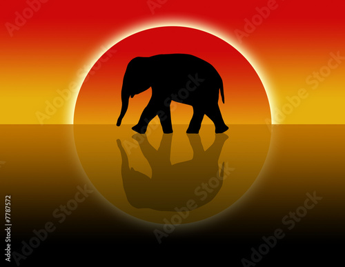 Foto-Vinylboden - Elefanten in der Wüste (von PixelPower)