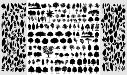 Big collection of different vector trees and leafs