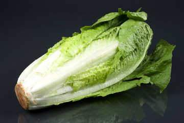 Lettuce