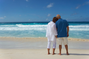 Wall Mural - backview of senior couple looking over the sea