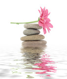 zen / spa stones with flowers