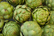 Big Artichokes