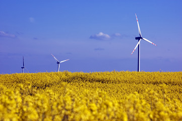 Wall Mural - Wind turbines.