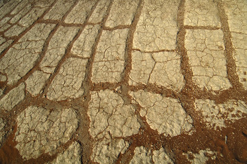 Wall Mural - A sand dune in the desert, Namibia, Africa