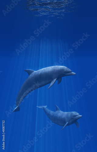 Foto-Lamellenvorhang - Dolphins Undersea - 3d render (von AlienCat)