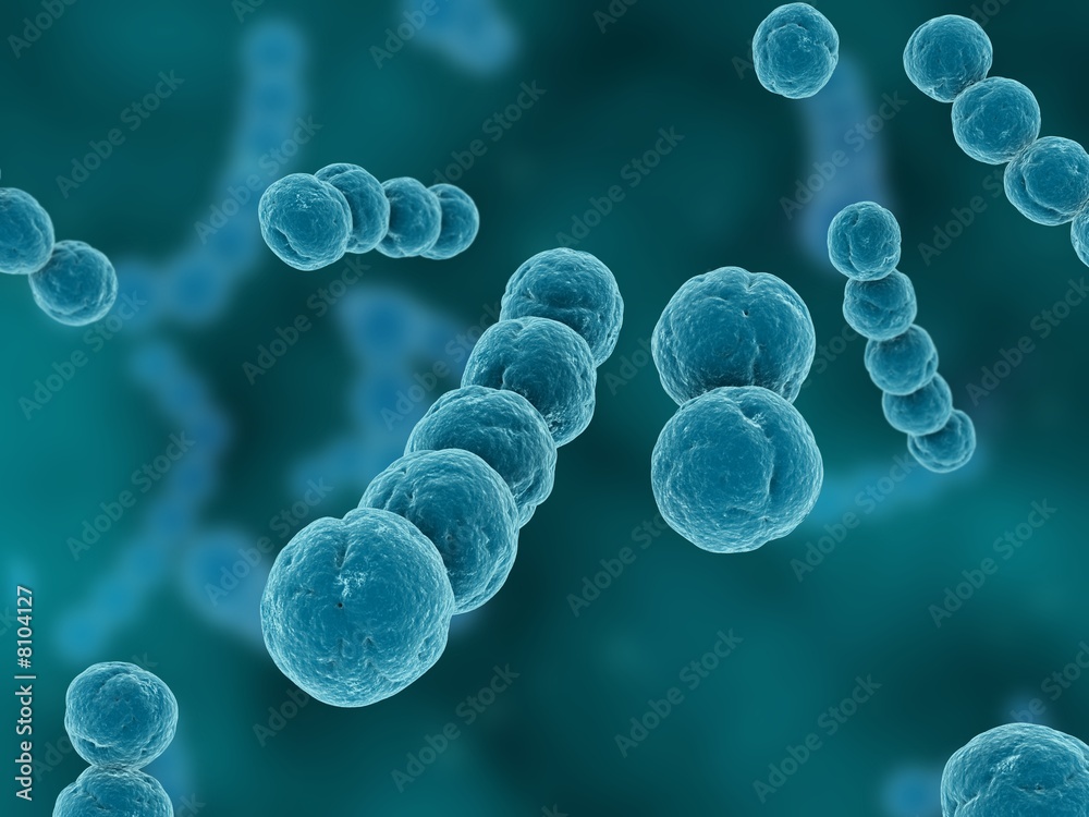 streptococcus - obrazy, fototapety, plakaty 