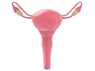 Sticker - weiblicher uterus