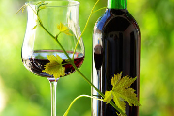 Glass and bottle of red wine with green leaf.