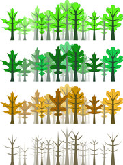 Wall Mural - oak leaf forest - all 4 seasons