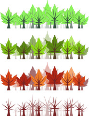 Wall Mural - maple leaf forest - four seasons