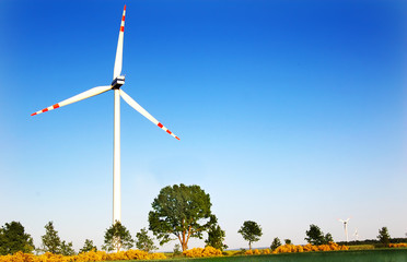 Wall Mural - Wind turbines.