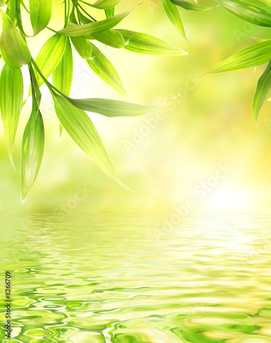 Foto-Fahne - Bamboo leaves reflected in rendered water (von Nejron Photo)