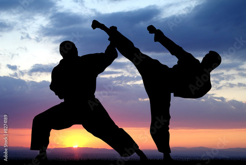 Fototapeta dla dzieci Martial art