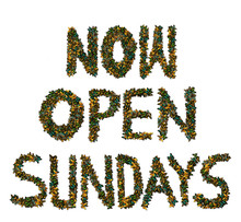 Butterfly Now Open Sundays Sign