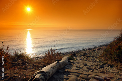 Corse Plage Sable Et Galet Buy This Stock Photo And