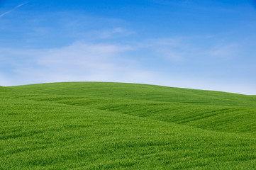 Rolling green hills and blue sky. Tuscany landscape, Italy.