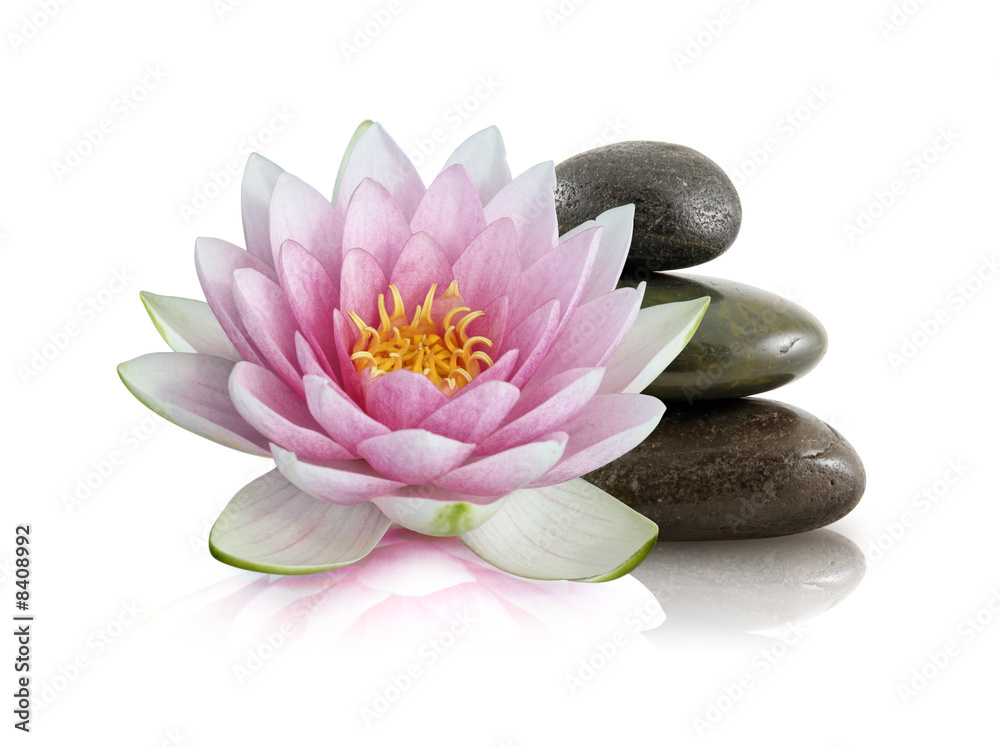 kwiat-lotosu-i-zen-kamyki
