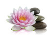 Fleur de lotus et galets zen