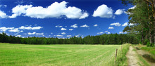 Panoramic View On Grass Field, Forest And A Path