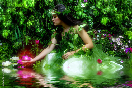 Plakat Enchanted Garden (mgliste uczucie w nocy)