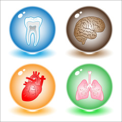 Canvas Print - Vector medical icons.