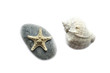 Starfish, Stone And A Seashell