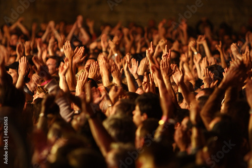 Foule Delire Fan Concert Musique Spectateur Bras Main Stock Photo Adobe Stock