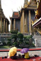 Wall Mural - People in Wat Phra Keo