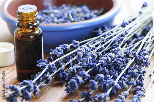 Photo Lavender herb and essential oil