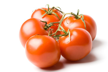 Fresh tomatoes