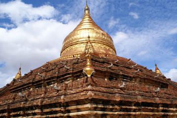 Sticker - Dhamma Yazika pagoda