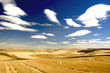 Leinwanddruck Bild Checkered landscape of wheat, barley, lentil farm land