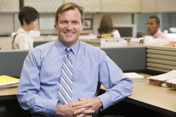 Wall Mural - Businessman in cubicle smiling