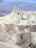 Fototapeta Tulipany - Death Valley