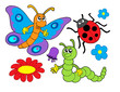 Bug and flower collection