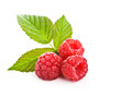 Leinwanddruck Bild - Bunch of a red raspberry on a white background
