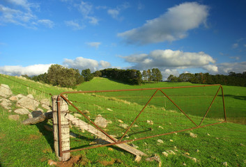 Wall Mural - Farmland in the Adelaide Hills