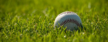 A White Leather Baseball On A Grass Field On A Sunny Day