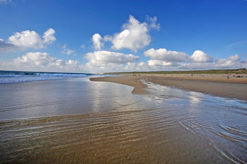 Wall Mural - Ocean coast