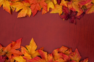 Wall Mural - Yellow and red fall leaves on wood background