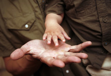 The Image Of Hands Of Parents And The Kid.