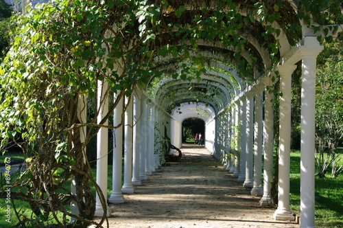 Jardin Botanique Rio