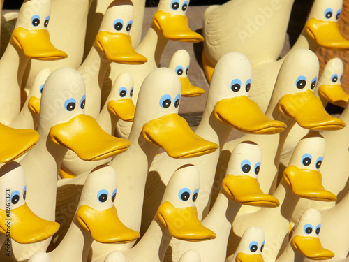 Fotografía des canards... des canards ...