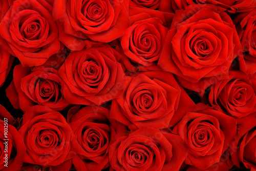 Plakat duża paczka czerwonych róż