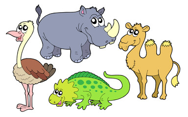 zoo animals collection