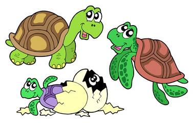 Sticker - Turtles collection