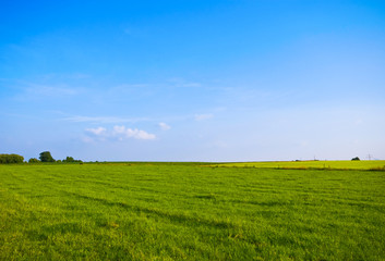  lovely green pasture with blue sky