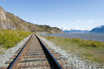 Sticker - Railroad tracks in the wilderness